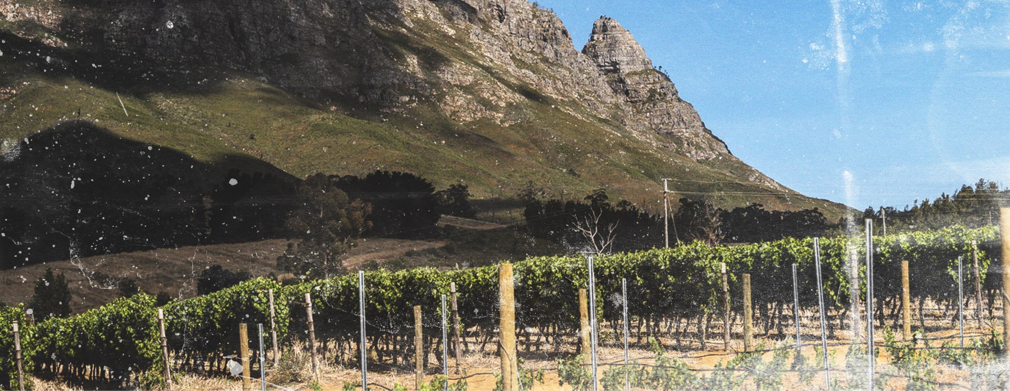 Muratie Wine Estate — Stellenbosch wine estate, Western Cape