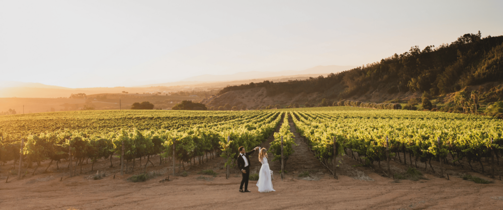 Untitled design (95) Wedding & Event Venue - Muratie Wine Estate